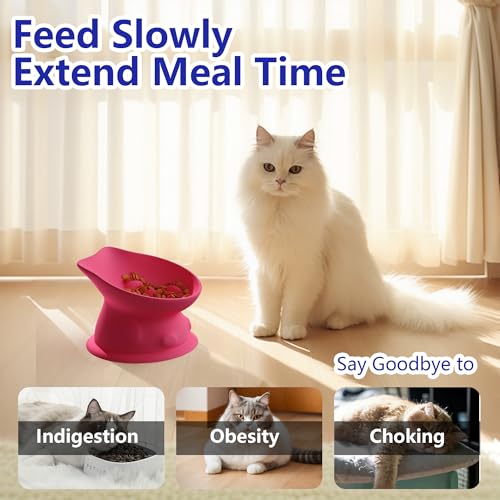 Slow Feed Cat Bowl, Elevated Cat Food Dish with Tilted Design, Dual-Use for Dry and Wet Food, Anti-Vomit, Anti-Choking, Easy to Clean - color: Pink, size: Medium