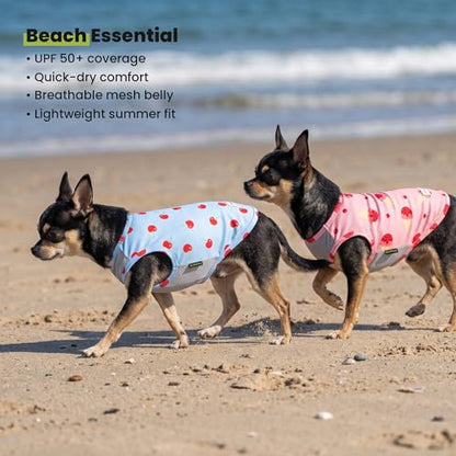 Fitwarm 2 Pack Ice Cream & Cherry UPF 50+ UV Sun Protection Dog Shirt, Lightweight Cooling Vest, Quick Dry Summer Clothes for Small Dogs Girl, Pet Outfit, Pink, Light Sky Blue, XS - color: Ice Cream & Cherry, size: X-Small