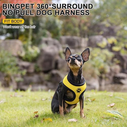 BINGPET Small Dog Harness, No Pull Dog Harness Small Sized Dogs, Soft Light Breathable Mesh Puppy Vest with Safety Buckle-Adjustable Step in Pet Harnesses for Easy Walking, Running, Training - color: Yellow, size: S (NECK: 12", CHEST: 14"-18")