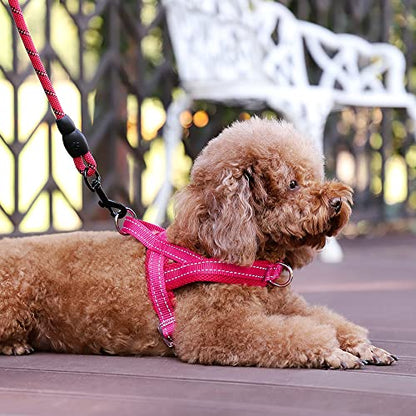 Plutus Pet No Pull Dog Harness with Breathable Mesh Padded, Adjustable Reflective Escape Proof Dog Harness, Quick Fit Dog Vest Harness for Small Medium Large Dogs(XS, Pink) - color: Pink, size: XS: chest 13.8"-17.3"