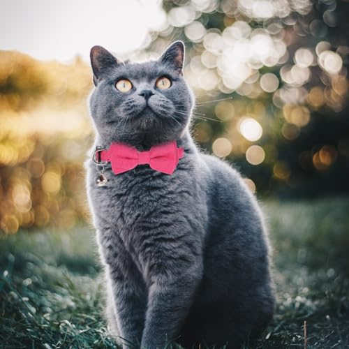 Sliverdew 2 Pcs Kitten Bow Tie Collar with Bell Cute Cat Collar for Girl Boy Cats Breakaway Cat Collars Adjustable Small Puppy Safety Collar Solid Color Plaid Pet Collar (Pink) - color: pink