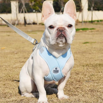 Dog Harness with Leash Set Adjustable Soft Padded Step-in Dog Vest No Choke No Pull Reflective for Small Pets with Poop Bags and Dispenser, Solid and No-chew, Blue XS - color: Blue, size: XS (Neck 16-19.1'' Chest 18.8-21.5'')
