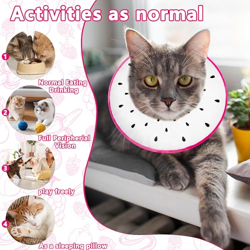 Cat Cone Collar Soft, Adjustable Cat Recovery Cone to Stop Licking, Cute Kitten Donut Collar After Surgery, Elizabethan Collars for Kittens, Lightweight Cats Neck Cones (Dragonfruit, Large) - color: Dragonfruit, size: Large