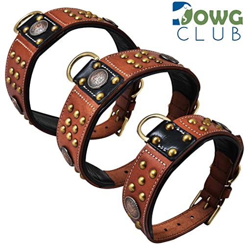 Genuine Leather ‘Cupola’ Series Dog Collar | Celtic Conchos & Gold Dome Rivets | Soft, Cushion Padding, Handmade | Best for Medium, Large, XL Breeds (M (Neck Size 14.5"-18.5"), Sienna Brown) - color: Sienna Brown, size: M (Neck Size 14.5"-18.5")