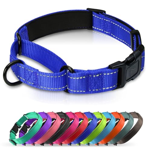 Martingale Collar for Dogs with Quick Release Buckle, Reflective Soft Padded & Escape Proof, Adjustable Nylon Dog Collars for Training & Daily Walking (Royal Blue,XS) - color: Royal Blue, size: XS:width 5/8"neck 10.5-12"
