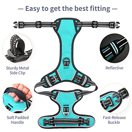 HEELE Dog Harness Dog Harness Small Dog No Pull Harness wiht Soft Handle Reflective Harness Adjustable, Turquoise, XS - color: Turquoise, size: XS