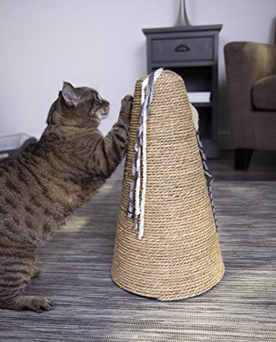 Petlinks Claw Cone Seagrass Cat Scratcher, Catnip Included - Tan, One Size - color: Claw Cone
