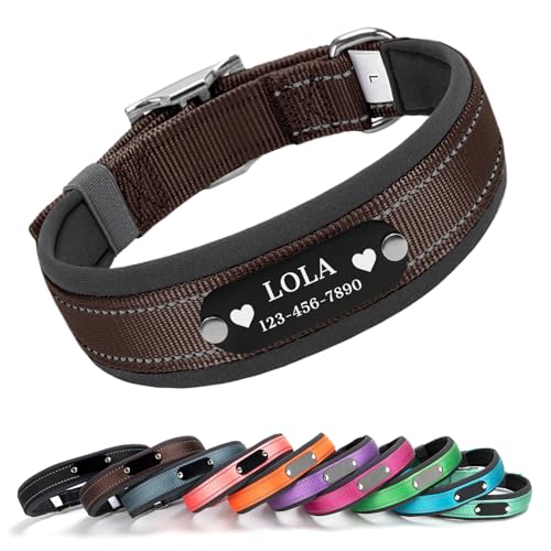 Cusotm Dog Collar with Laser Engraved Name and Phone on Black Metal Tag - Nylon Collar with Reflective Stripe, Neoprene Lining, Metal Buckle D-Ring (Brown, XL (22-26 Inches)) - color: Brown, size: XL (22-26 Inches)