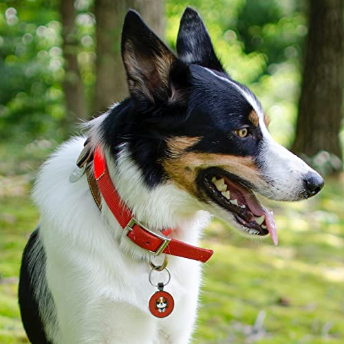 QR Code Pet ID | Personalized Dog & Cat Collar Tag | Online Profile with Instant Scanned Location Alert Email - style: Little Girl