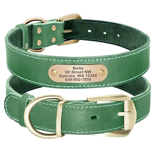Didog Genuine Leather Dog Collars with Engraved Nameplate, Personalized Soft Leather Dog Collar with Custom ID Tag, Brown/Green/Red for Medium Large Dogs (XL,Green) - color: Green, size: XL: Fit Neck 18-23"(44-72 lbs)