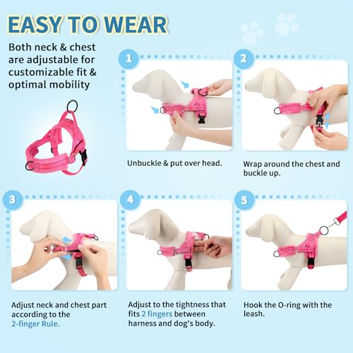 Lukovee No Pull Dog Harness and Leash Set, Soft Padded Small Dog Harness, Neck & Chest Adjustable Reflective Vest Puppy Harness with 4ft Lightweight Anti-Twist Dog Leash for Small Dogs (XS, Pink) - color: B-pink, size: XS ( Chest 14'' ~ 18'')