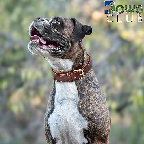 Genuine Leather Dog Collar – Full Grain, Breathable Inner Padding, Padded Buckle – Heavy Duty, Adjustable for Small, Medium, Large & XL Breeds (Dark Brown, M (Fit Neck Size 14.5"-18.5")) - color: Dark Brown, size: M (Fit Neck Size 14.5"-18.5")