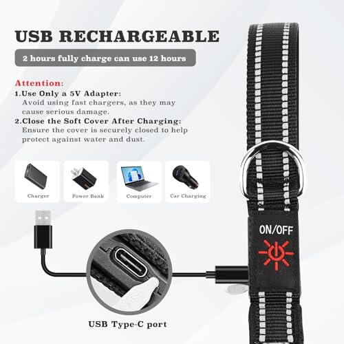 4 Ft LED Dog Leash, Light Up & Lighted Dog Leash, 7 Lighting Modes, Glow in The Dark, Reflective, Double-Sided Light, Rechargeable with Padded Handle for Night Walking Safety, Small to Large Pets
