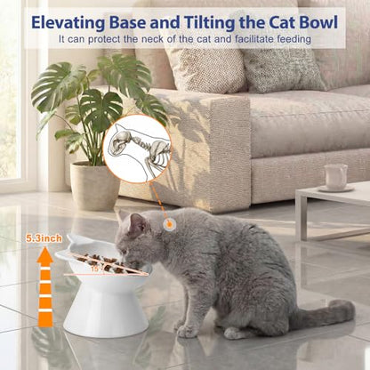 Ceramic Slow Feeder Cat Bowl, 2 Cups Tilted Elevated Cat Slow Feeder Bowl for Dry and Wet Food, Honeycomb Design for Preventing Vomiting & Bloating (White-Cute Kitten) - color: White-Cute kitten