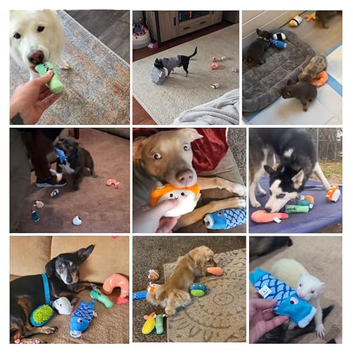 Nocciola 10 PC Sushi Squeaky Small Dog Toys, Cute Stuffed Puppy Toys with Bag, Plush Dog Squeaky Toy for Small Medium to Keep Them Busy - style: Sushi Dog Toys