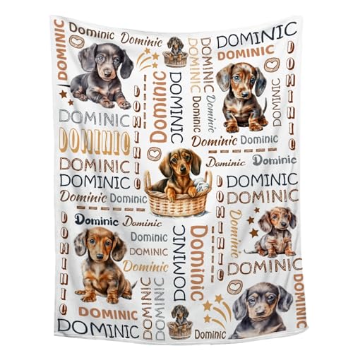 Aniruddha Custom Dachshund Personalized Baby Blanket,Custom Baby Blankets with Name for Kids,Toddler Kids Nursery,90x120 Family Size - color: Custom Baby Dachshund1, size: 90"x120"-Family Size