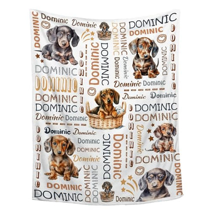 Aniruddha Custom Dachshund Personalized Baby Blanket,Custom Baby Blankets with Name for Kids,Toddler Kids Nursery,90x120 Family Size - color: Custom Baby Dachshund1, size: 90"x120"-Family Size