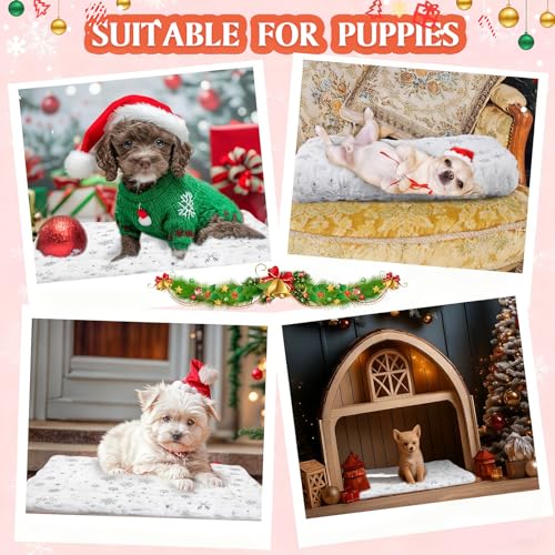 2 Pack Winter Self Warming Cat Mat Snowflake White Self Heating Pad Bed 22" x 18" Reversible Reflects Body Heat Machine Washable Thermal Pet Blanket for Winter Indoor Pet Kitten Dog Crate - color: White