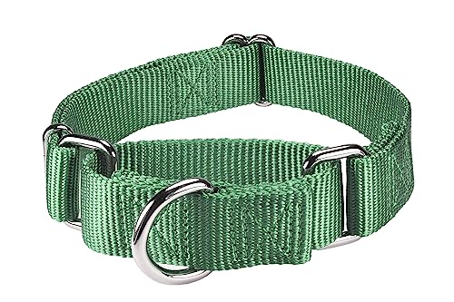 Mikivery Martingale Dog Collar Nylon Adjustable and Safety Training Metal Buckle Dogs Collars for Small Medium and Large Breed(Emerald,L) - color: Emerald, size: L