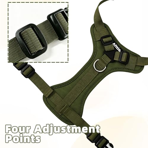 AIITLE Small Dog Harness No Pull, Reflective Adjustable Vest with Handle, No Choke Design, Dual Metal Leash Clips for Walking Training Running Camping, Small Medium Breeds - Green S - color: Green, size: S