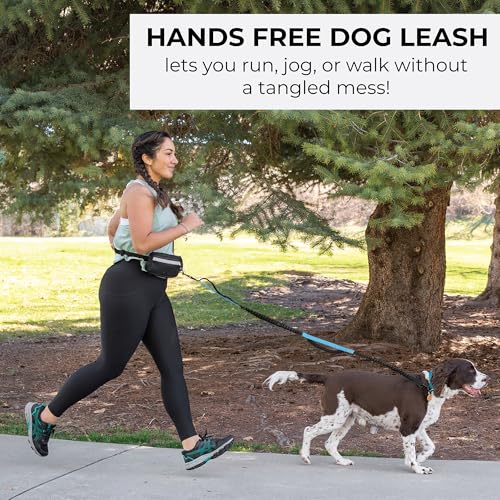 Squirrel Products Hands Free Dog Leash with Hip Belt/Crossbody Strap, Zipper Pouch, and Shock Absorbing Bungee for Walking or Jogging with pet (Black, Blue) - color: Black and Blue