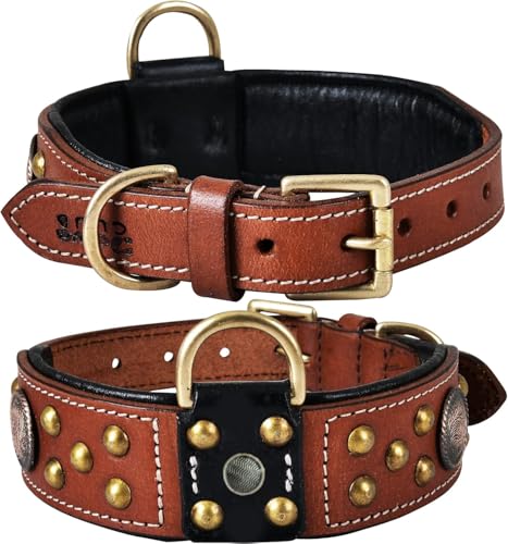 Genuine Leather ‘Cupola’ Series Dog Collar | Celtic Conchos & Gold Dome Rivets | Soft, Cushion Padding, Handmade | Best for Medium, Large, XL Breeds (M (Neck Size 14.5"-18.5"), Sienna Brown) - color: Sienna Brown, size: M (Neck Size 14.5"-18.5")