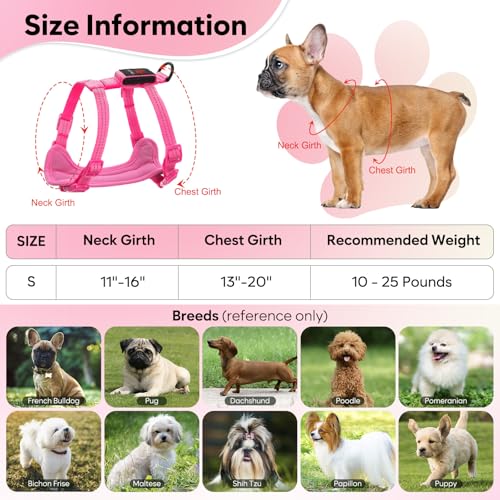 Light Up Small Dog Harness, LED Rechargeable Harness for Small Sized Dog, No Pull Reflective Adjustable Dog Vest Harness with Soft Light, Glow-in-The-Dark for Night Safety Walking (Pink)