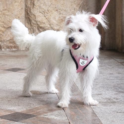 Pet Dog Vest Harnesses Puppy Cotton Polyester Adjustable Dog Mesh Harness Travel Chest Strap Vest Reflective (L, Pink) - color: Pink, size: L