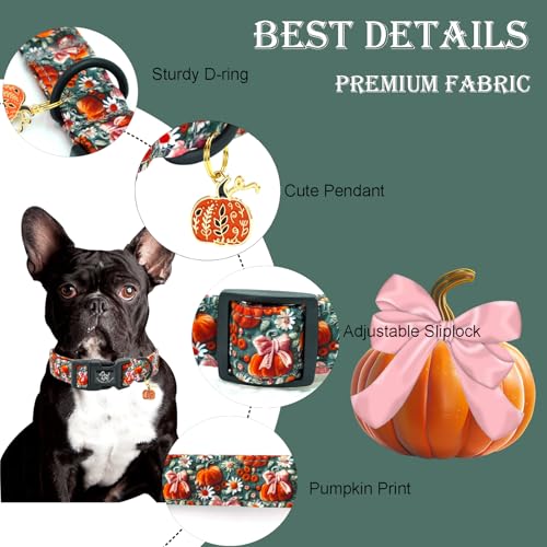 Elegant little tail Halloween Dog Collar, Pumpkin with Flower Print Fall Pet Collars Cotton Soft Sturdy Puppy Collars Holiday Female Adjustable Collar for X-Small Puppy - color: Fall-3D Pumpkin, size: X-Small (Pack of 1)