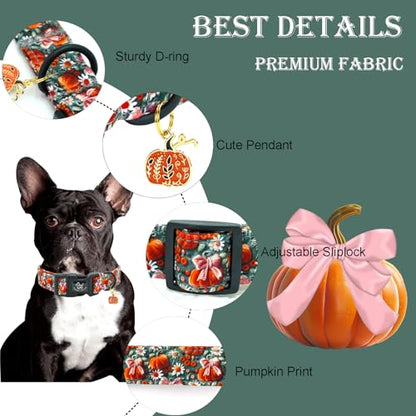 Elegant little tail Halloween Dog Collar, Pumpkin with Flower Print Fall Pet Collars Cotton Soft Sturdy Puppy Collars Holiday Female Adjustable Collar for X-Small Puppy - color: Fall-3D Pumpkin, size: X-Small (Pack of 1)