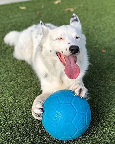 Jolly Pets Large Soccer Ball Floating-Bouncing Dog Toy, 8 inch Diameter, Ocean Blue - color: Ocean Blue, size: 8 Inch Diameter