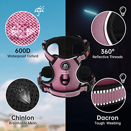 No Pull Dog Harness,Adjustable Oxford Dog Vest Harness with Leash,Reflective No-Choke Pet Harness with Easy Control Soft Handle for Small Dogs(Small,Pink)