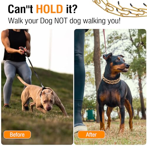 Dog Pinch Collar Stainless Steel,Gold Prong Dog Training Collar,No Pull Martingale Collar Stainless Steel Metal Chain Collar,Adjustable Size Collar for Medium and Large Dogs (M, Gold) - size: M