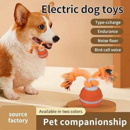 Interactive Dog Cat Toys Dog Ball,Automatic Rolling and Bouncing Moving Dog Toy,Squeaky Rolling Balls with Flashing Light,USB Rechargeable Chew Toys for Puppy Small Dogs, Pet Ball to Keep Them Busy - color: 1 Blue +1 Orange