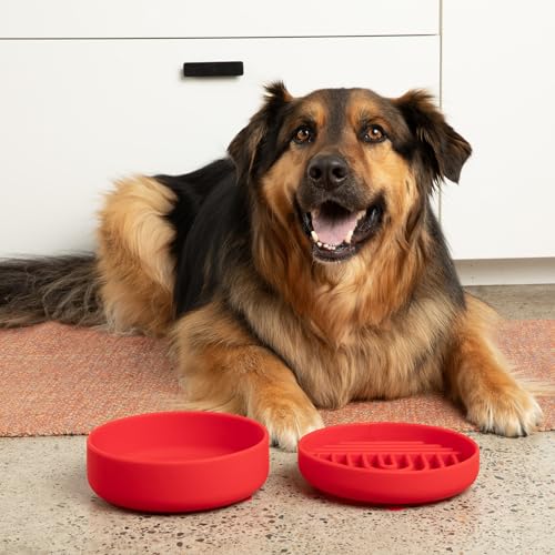 Should We Go? Slow Feeder for Dogs & Puppies, The Slowdown Bowl Silicone Slow Eating, Modern Lick Mat Design, Reduces Gulping, Fits 2 Cups, 7.5” Across x 1.5” Tall, Mealtime Challenge, Medium-Cherry - color: Cherry - Rainbow Design, size: Medium (7.5” Acr