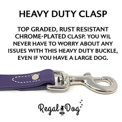 Regal Dog Products Waterproof Leash – 5 ft. Purple Dog Leash with Easy to Use Collar Hook, Lightweight, and Proof Training Pet Lead with Vinyl-Coated Webbing for Small, Medium, Large, or XL Dogs - color: Purple