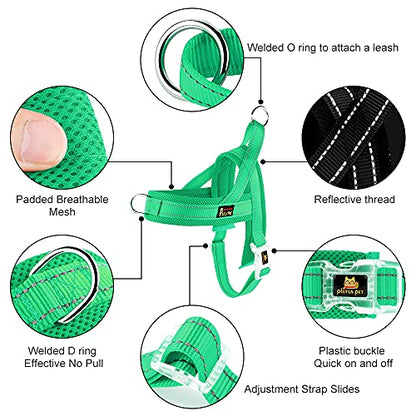Plutus Pet No Pull Dog Harness with Breathable Mesh Padded, Adjustable Reflective Escape Proof Dog Harness, Quick Fit Dog Vest Harness for Small Medium Large Dogs(XS, Green) - color: Green, size: XS: chest 13.8"-17.3"