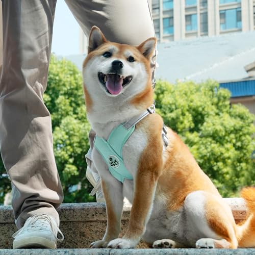 Dog Harness with Leash Set Adjustable Soft Padded Step-in Dog Vest No Choke No Pull Reflective for Small Medium Pets with Poop Bags and Dispenser, Solid and No-chew, Green S - color: Green, size: S (Neck 18.1-21.2'' Chest 21.2-25.2'')