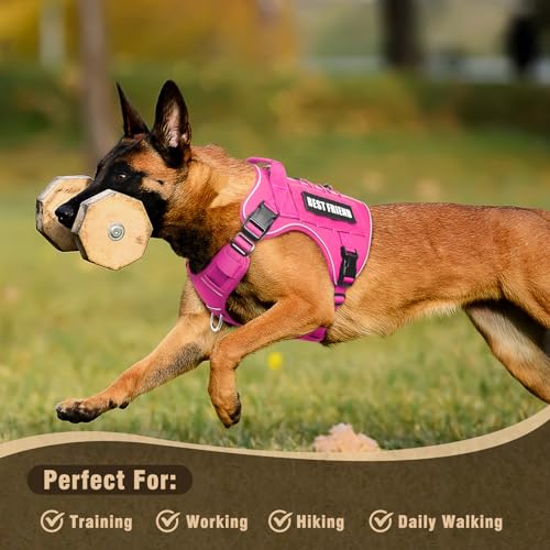 Tactical Dog Harness Small Sized Dog,No Pull Military Dog Vest with Handle,Reflective Heavy Duty Pet Harness for Walking Hiking Training Hot Pink S - color: Hot Pink, size: Small