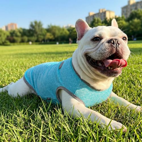 3 Pack Lightweight Sun Protection Dog Shirt Breathable Sleeveless Dog T Shirts Extra Soft Top Tank Dog Clothes for Outdoor Activities (Leather Pink + Light Blue + Light Pink, Small)