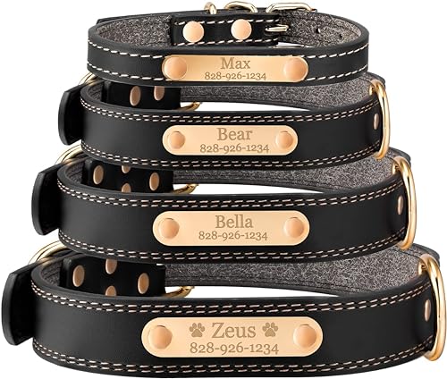 Personalized Dog Collar - Engraved Soft Black Vegan Leather - Custom Small Medium or Large Size with Name Plate (X-Small) - size: X-Small