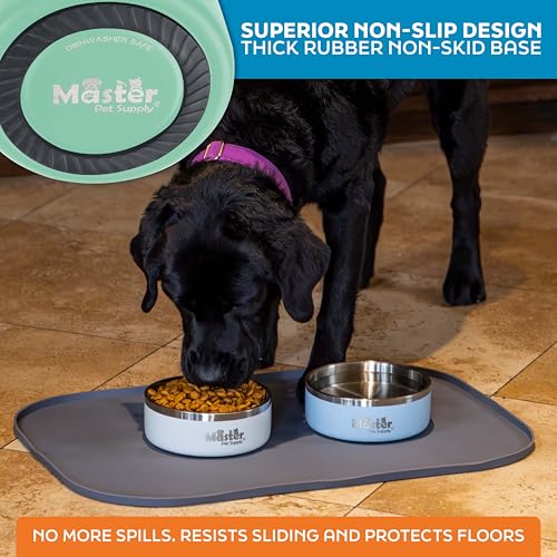 Master Pet Supply Stainless Steel Dog Bowls - 25 oz, Heavy Duty - Pistachio, Double Wall Extra-Thick Insulated, Non-Slip Pet Water Bowl for Dogs, Cats & Pets, Anti Rust Metal, Dish Washer Safe - color: Pistachio, size: 3 Cups (25 oz)