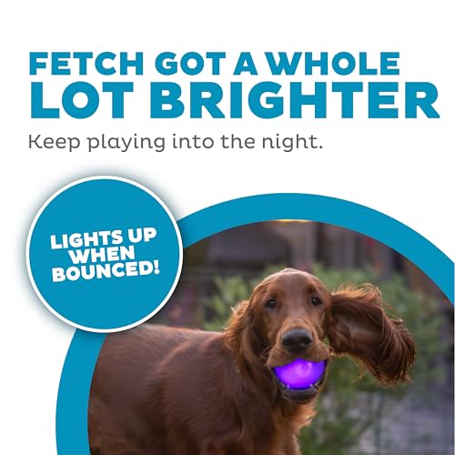 Outward Hound by Planet Dog Strobe Light Up LED Ball Dog Toy, Purple - color: Purple Strobe Toy