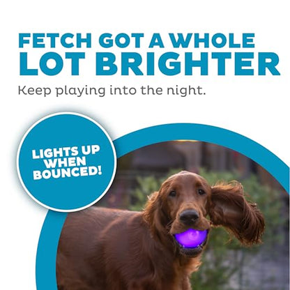 Outward Hound by Planet Dog Strobe Light Up LED Ball Dog Toy, Purple - color: Purple Strobe Toy