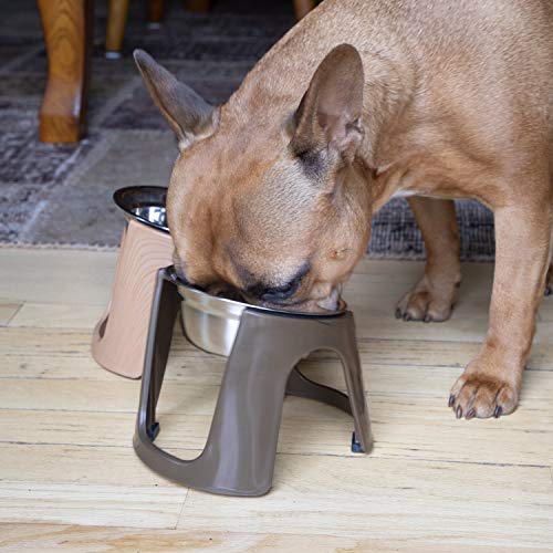SportPet Food Bowls_Raised Stainless Steel Bowl_Gravity Feeder and Waterer,Brown - color: Brown