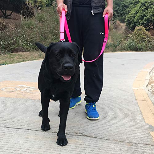 Pets Premium Adjustable 6 Feet Leash with Super Soft Neoprene Padded Handle - Heavy Duty Nylon Lead for Medium Large Giant DogsTraining and Daily Use. (Large, Hot Pink) - color: Hot Pink, size: Large Adjustable 6 Feet