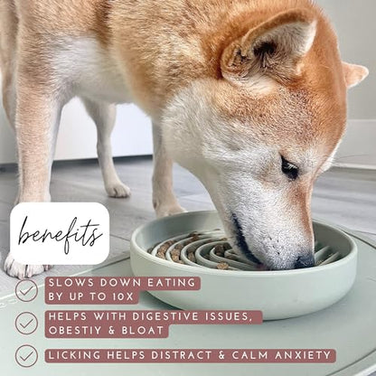 Should We Go? Slow Feeder for Dogs & Puppies, The Slowdown Bowl Silicone Slow Eating, Modern Lick Mat Design, Reduces Gulping, Fits 2 Cups, 7.5” Across x 1.5” Tall, Mealtime Challenge, Medium-Tan - color: Tan - Rainbow Design, size: Medium (7.5” Across x