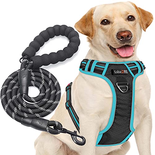 tobeDRI No Pull Dog Harness Adjustable Reflective Oxford Easy Control Medium Large Harness with A Free Heavy Duty 5ft Dog Leash - color: Black/Blue Harness+Leash, size: Large