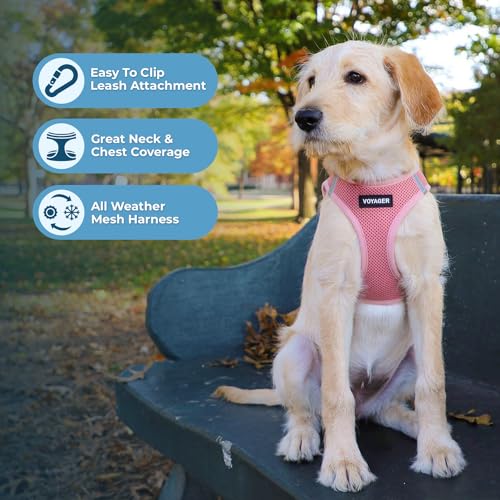 Best Pet Supplies Voyager Step-in Air All Weather Mesh Harness and Reflective Dog 5ft Leash Combo with Neoprene Handle, for Small, Medium and Large Breed Puppies - Set (Pink), Medium - color: Harness Leash Set (Pink), size: M (Chest: 16 - 18")