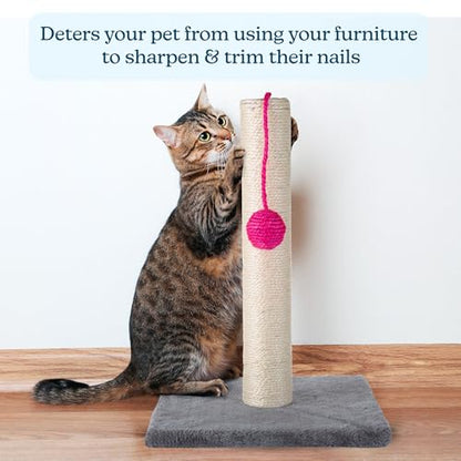 17-Inch Cat Scratching Post - Sisal Rope and Carpet Scratching Pole with Bright Pink Hanging Ball Toy for Adult Cats and Kittens by PETMAKER (Gray) - color: Gray